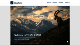 What Visualquant.com website looked like in 2020 (4 years ago)