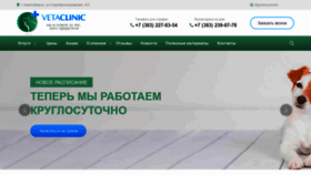 What Vetaclinic.ru website looked like in 2020 (4 years ago)