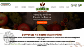 What Vivaigabbianelli.it website looked like in 2020 (4 years ago)