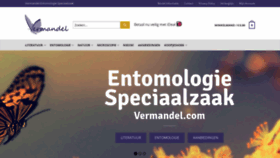 What Vermandel.com website looked like in 2020 (4 years ago)