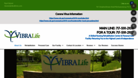 What Vibralife.net website looked like in 2020 (4 years ago)