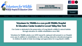 What Volunteersforwildlife.org website looked like in 2020 (4 years ago)