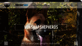 What Vonshap.com website looked like in 2020 (4 years ago)