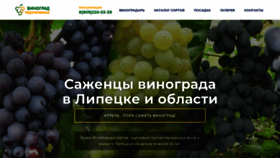 What Vinograd48.ru website looked like in 2020 (4 years ago)