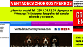 What Ventadecachorrosyperros.com website looked like in 2020 (3 years ago)