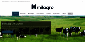 What Vertigoticaret.com website looked like in 2020 (3 years ago)