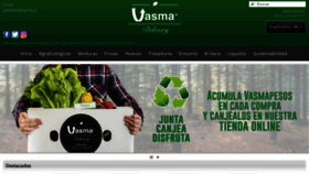 What Vasma.cl website looked like in 2020 (3 years ago)