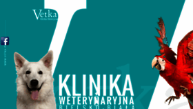 What Vetka.pl website looked like in 2020 (3 years ago)