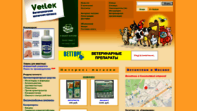 What Vetlek.ru website looked like in 2020 (5 years ago)