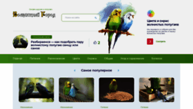 What Volnistij-gorod.ru website looked like in 2020 (3 years ago)