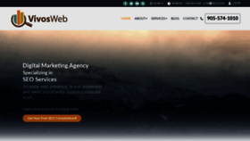 What Vivosweb.com website looked like in 2020 (3 years ago)
