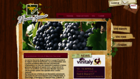 What Vinizaccomer.com website looked like in 2020 (3 years ago)