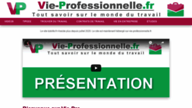 What Vie-professionnelle.fr website looked like in 2020 (3 years ago)