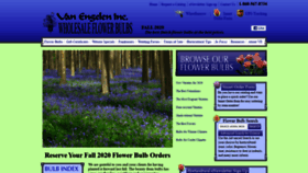 What Vanengelen.com website looked like in 2020 (3 years ago)