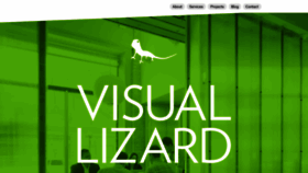 What Visuallizard.com website looked like in 2020 (3 years ago)