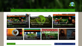 What Vegetik.org website looked like in 2020 (3 years ago)