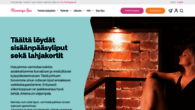 What Verkkokauppa.flamingospa.fi website looked like in 2020 (3 years ago)