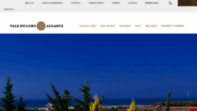 What Valedolobo.com website looked like in 2020 (3 years ago)