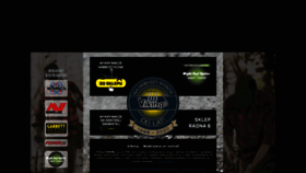 What Viking.waw.pl website looked like in 2020 (4 years ago)