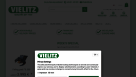 What Vielitz.de website looked like in 2020 (3 years ago)