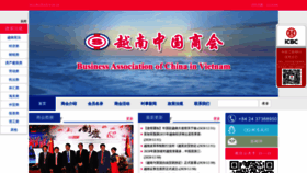 What Vietchina.org website looked like in 2021 (3 years ago)
