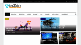What Vinzite.com website looked like in 2021 (3 years ago)
