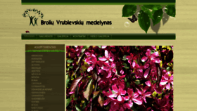 What Vrmedelynas.lt website looked like in 2021 (3 years ago)