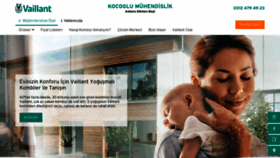 What Vaillantankarakocoglu.com website looked like in 2021 (3 years ago)