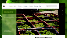 What Vinograd.info website looked like in 2021 (3 years ago)