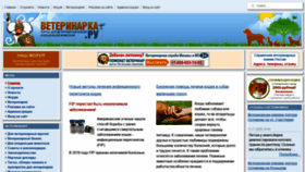 What Veterinarka.ru website looked like in 2021 (3 years ago)