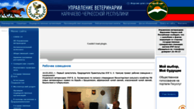 What Vet09.ru website looked like in 2021 (3 years ago)