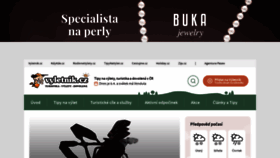 What Vyletnik.cz website looked like in 2021 (3 years ago)