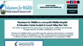 What Volunteersforwildlife.org website looked like in 2021 (3 years ago)