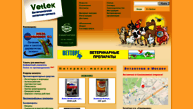 What Vetlek.ru website looked like in 2021 (4 years ago)
