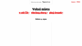 What Volnamista.cz website looked like in 2021 (2 years ago)