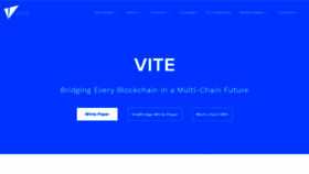 What Vite.org website looked like in 2021 (2 years ago)