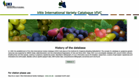What Vivc.de website looked like in 2021 (2 years ago)