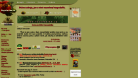 What Vegetarian.cz website looked like in 2021 (2 years ago)
