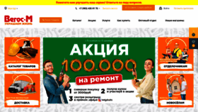 What Vegosm.ru website looked like in 2021 (2 years ago)
