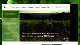 What Vinograd.info website looked like in 2022 (2 years ago)