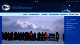 What Vniro.ru website looked like in 2022 (2 years ago)