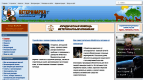 What Veterinarka.ru website looked like in 2022 (2 years ago)