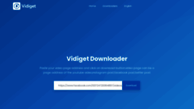 What Vidiget.com website looked like in 2022 (2 years ago)