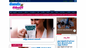 What Vasundhara.net website looked like in 2022 (1 year ago)