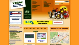 What Vetlek.ru website looked like in 2022 (3 years ago)