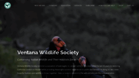 What Ventanaws.org website looked like in 2022 (1 year ago)