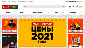 What Vegosm.ru website looked like in 2022 (1 year ago)