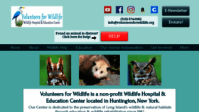What Volunteersforwildlife.org website looked like in 2022 (1 year ago)