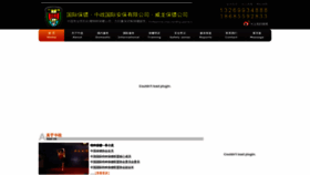 What Vipbodyguard.net website looked like in 2023 (1 year ago)