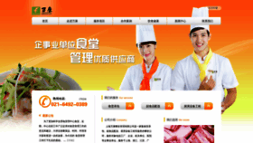 What Vankang.com website looked like in 2023 (1 year ago)